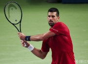 南宫体育-德约科维奇关键节点比分优势明显，法国队带队取胜！的简单介绍