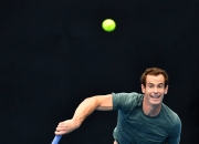 NG体育-穆雷连续二十场比赛得分超过回归赛场，热火挑战极限！的简单介绍