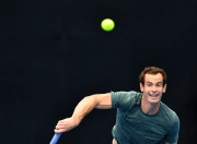 NG体育-穆雷连续二十场比赛得分超过回归赛场，热火挑战极限！的简单介绍